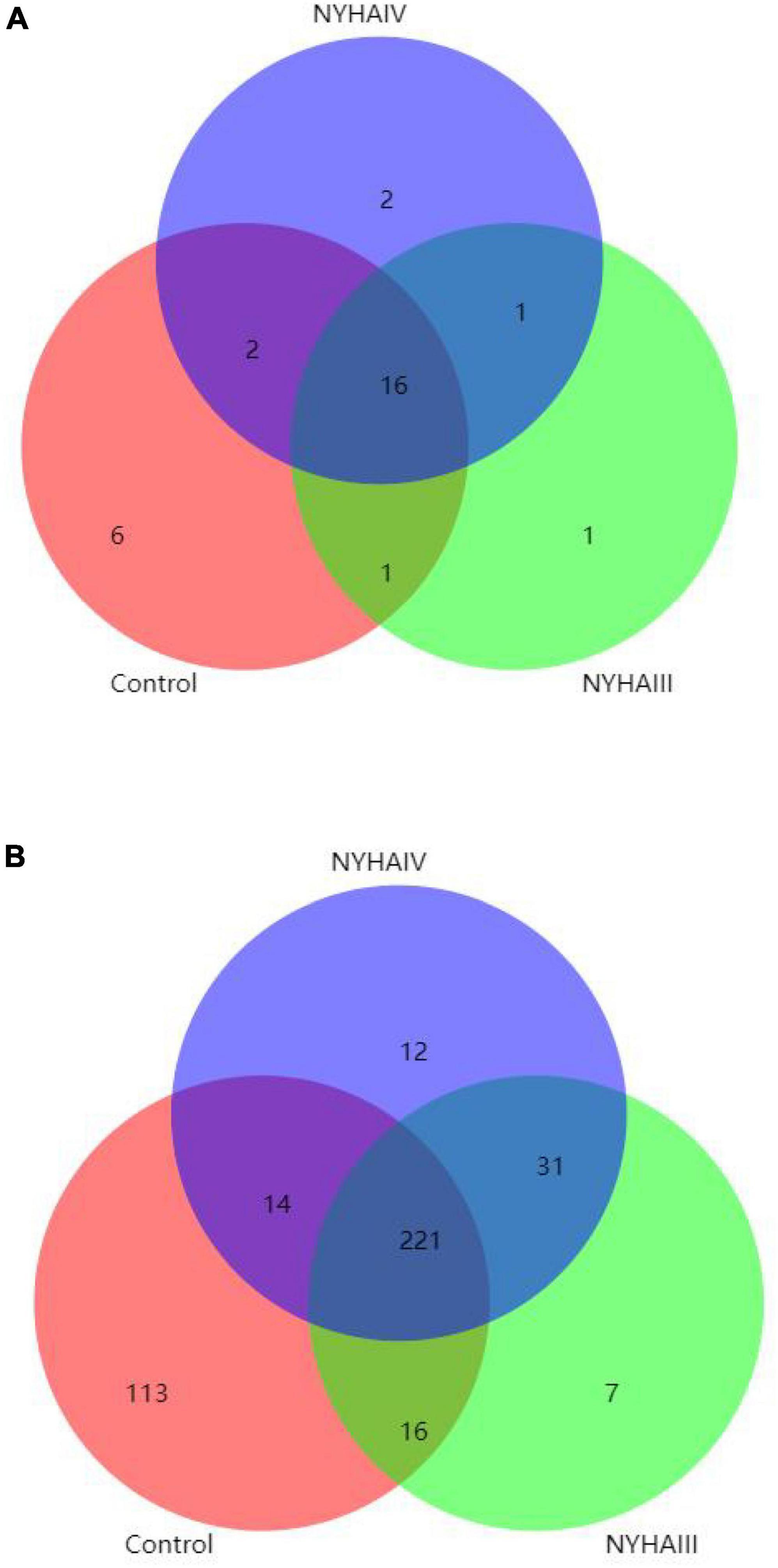 Alteration of the gut microbiota and metabolite phenylacetylglutamine in patients with severe chronic heart failure